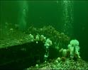 PDVD_388