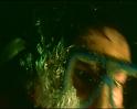 PDVD_403