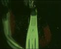 PDVD_410
