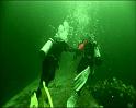 PDVD_419