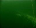 PDVD_430