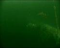 PDVD_431