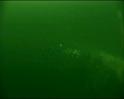 PDVD_433