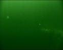 PDVD_434