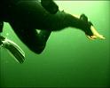 PDVD_436