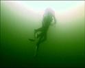 PDVD_441