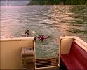 PDVD_444