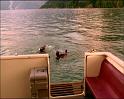 PDVD_445