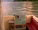 PDVD_446