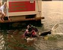 PDVD_451