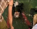 PDVD_454