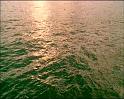 PDVD_485