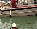 PDVD_868