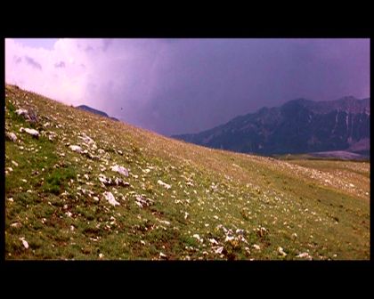 PDVD_041.jpg