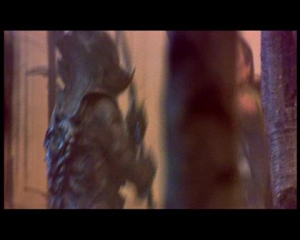 PDVD_1004.jpg