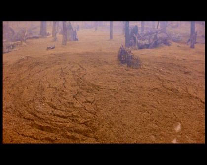 PDVD_1221.jpg