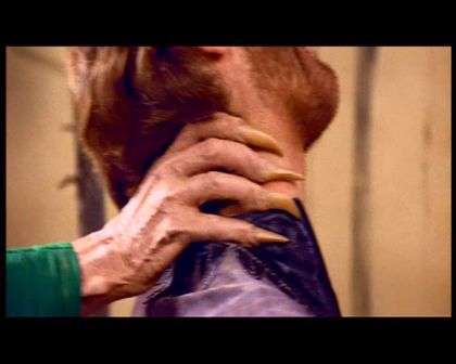 PDVD_1258.jpg