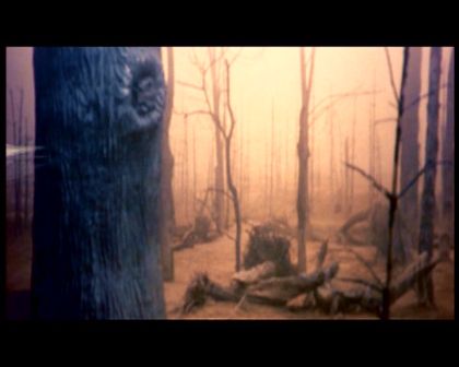 PDVD_1259.jpg