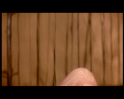 PDVD_1274.jpg