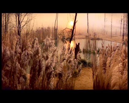 PDVD_1324.jpg