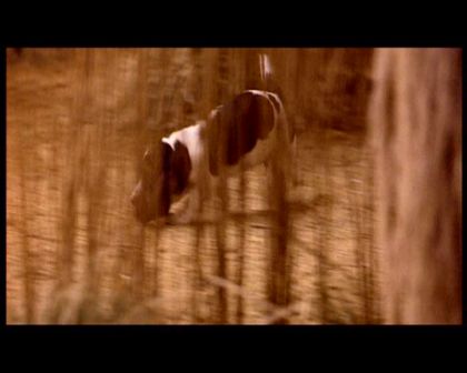 PDVD_1351.jpg