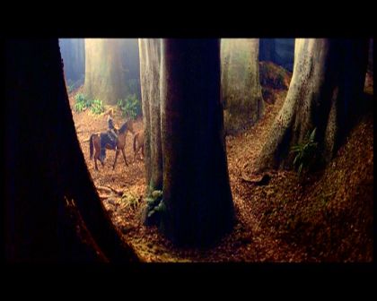 PDVD_1364.jpg