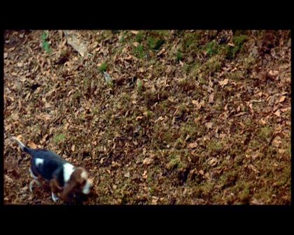 PDVD_1384.jpg