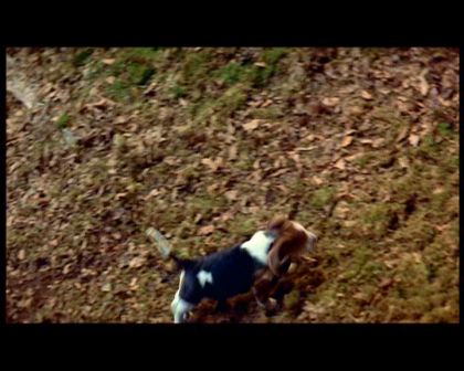 PDVD_1385.jpg