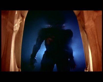 PDVD_1487.jpg