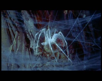 PDVD_1546.jpg