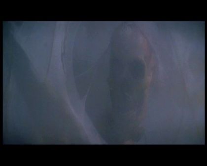 PDVD_1585.jpg