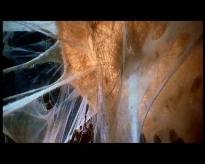 PDVD_1601.jpg