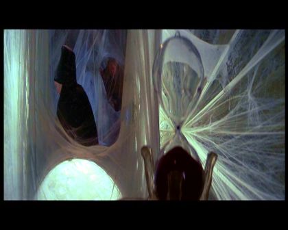 PDVD_1612.jpg