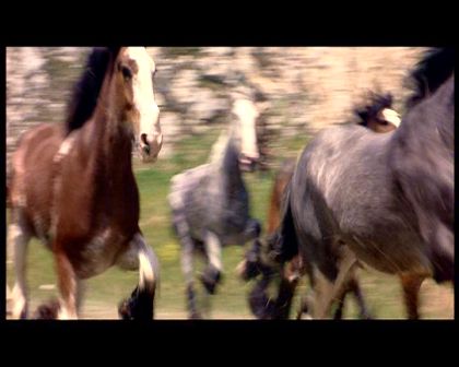 PDVD_1755.jpg