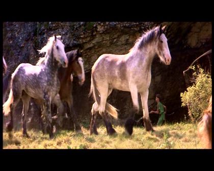 PDVD_1763.jpg