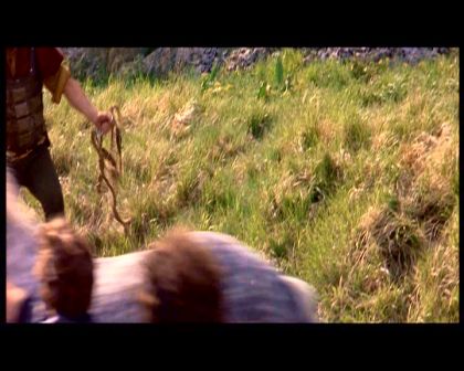 PDVD_1773.jpg