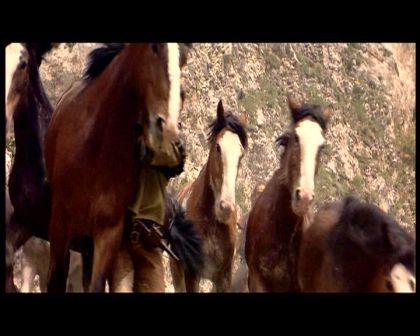 PDVD_1777.jpg