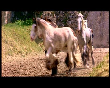 PDVD_1778.jpg
