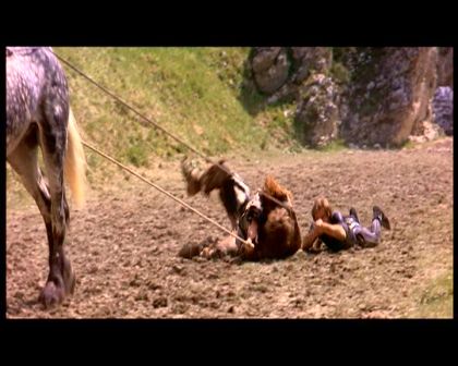 PDVD_1782.jpg