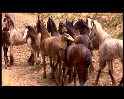 PDVD_1786.jpg
