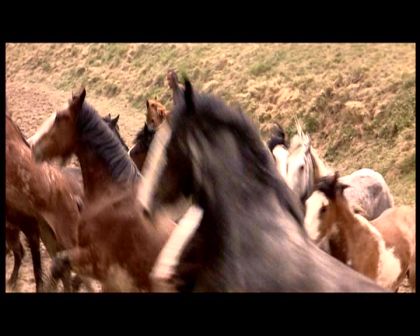 PDVD_1787.jpg