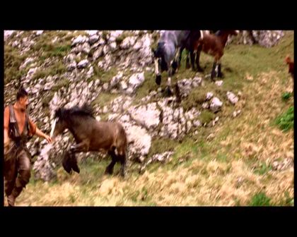 PDVD_1792.jpg