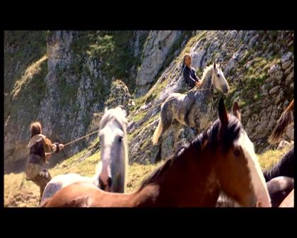 PDVD_1801.jpg