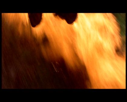 PDVD_1840.jpg