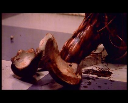 PDVD_191.jpg