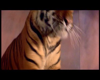 PDVD_2081.jpg