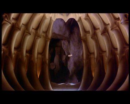 PDVD_2173.jpg