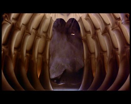 PDVD_2174.jpg