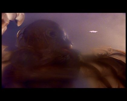 PDVD_2203.jpg