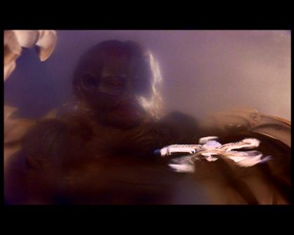 PDVD_2205.jpg